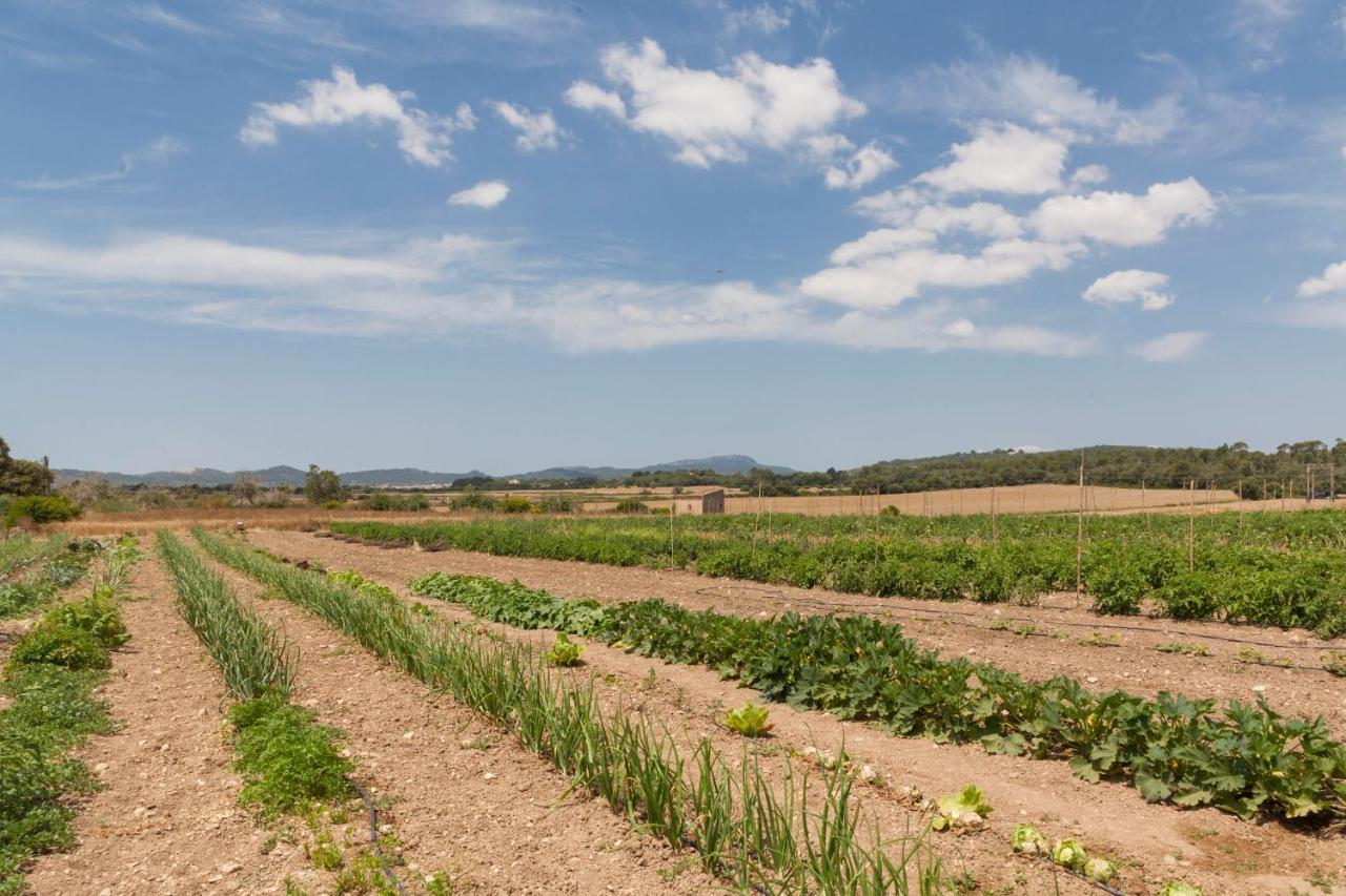 Finca Son Roig Porreras Exterior foto